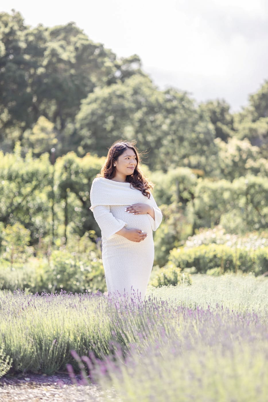 A pregnant mama looks at the distance holding her belly fondly surrounded by lavender flowers at a Bay Area garden